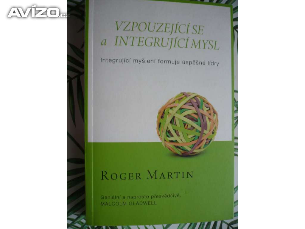 Roger Martin Vzpouzející se a integrující mysl